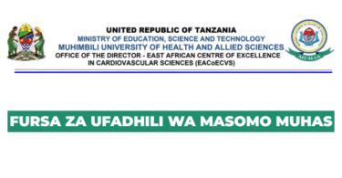 MUHAS Scholarship 2025 for Tanzanian Students | Fully Funded