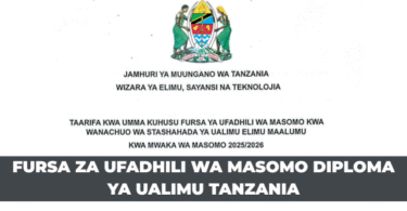 Ministry of Education Diploma Education Scholarship 2025